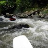 Bali-Rafting (19)